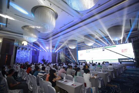 不朽情缘-官方网站