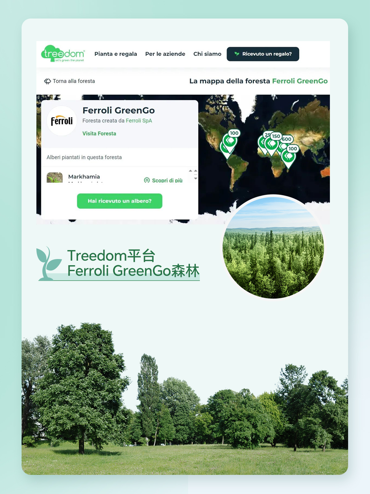 不朽情缘-官方网站